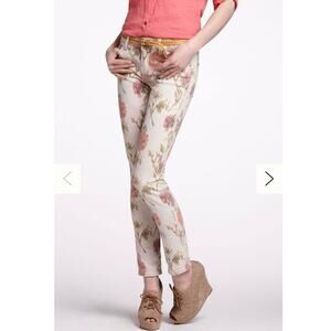 Anthropologie Pilcro Floral Ikat Stet Slim Jeans Size 28